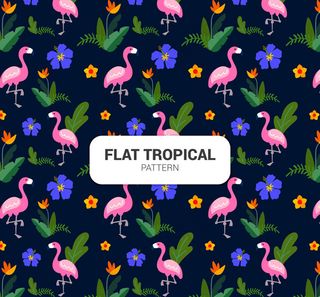 热带花鸟无缝背景