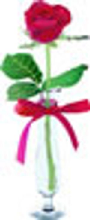 矢量礼品图片_40