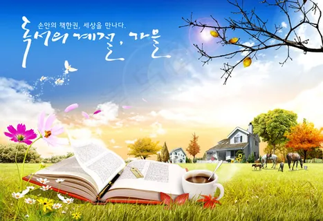 草地上打开的书 草地上打开的书