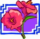 花朵鲜花_967eps,ai矢量模版下载