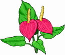 花朵鲜花_395eps,ai矢量模版下载