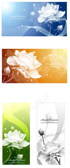 花卉装饰banner 花卉装饰banner