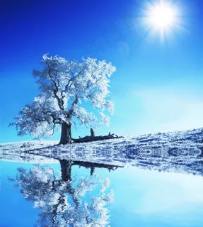 冬季美景 冬季美景