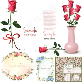 玫瑰花与花朵底纹