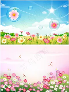 美丽的鲜花 美丽的鲜花