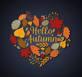 秋季树叶组合爱心