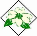 花朵鲜花_900eps,ai矢量模版下载