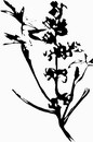 花朵鲜花_1175eps,ai矢量模版下载