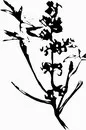 花朵鲜花_1175eps,ai矢量模版下载