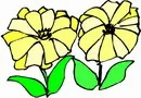 花朵鲜花_668eps,ai矢量模版下载
