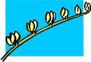 花朵鲜花_1028eps,ai矢量模版下载