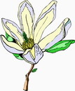 花朵鲜花_295eps,ai矢量模版下载