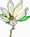 花朵鲜花_295eps,ai矢量模版下载