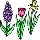 花朵鲜花_143eps,ai矢量模版下载