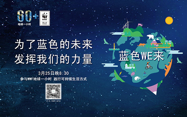 地球一小时海报