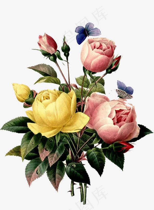 手绘玫瑰花