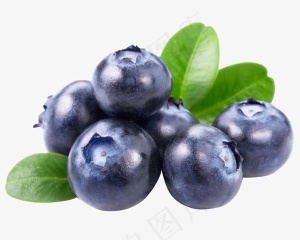新鲜的水果蓝莓