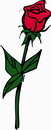 花朵鲜花_816eps,ai矢量模版下载