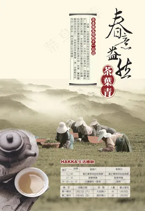 采茶体验活动