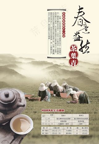 采茶体验活动