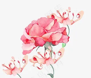 红色手绘水彩花