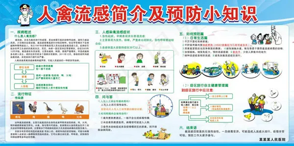 禽流感简介及预防cdr矢量模版下载