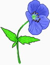 花朵鲜花_607eps,ai矢量模版下载