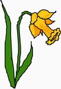 花朵鲜花_840eps,ai矢量模版下载