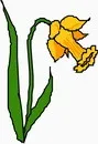 花朵鲜花_840eps,ai矢量模版下载