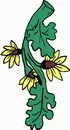 花朵鲜花_165eps,ai矢量模版下载
