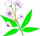 花朵鲜花_491eps,ai矢量模版下载