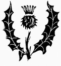花朵鲜花_1107eps,ai矢量模版下载