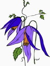 花朵鲜花_297eps,ai矢量模版下载
