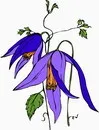 花朵鲜花_297eps,ai矢量模版下载