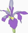 花朵鲜花_314eps,ai矢量模版下载