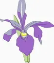 花朵鲜花_314eps,ai矢量模版下载