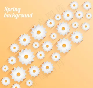 春天白色花卉背景