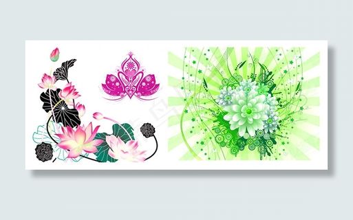 矢量荷花与莲花