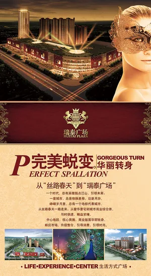完美蜕变地产海报