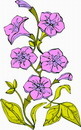花朵鲜花_77eps,ai矢量模版下载