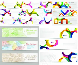 色彩树叶脉络横幅