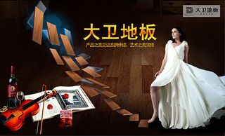 大卫地板海报