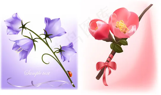 漂亮的花朵矢量