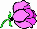 花朵鲜花_854eps,ai矢量模版下载