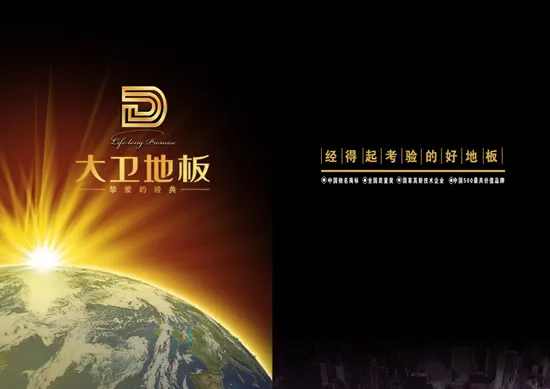 大卫木地板画册5psd模版下载
