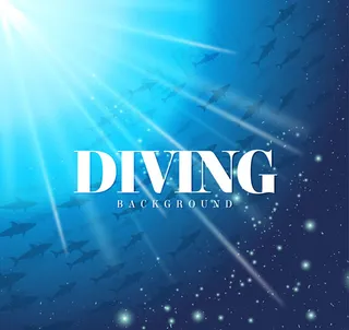 海底鱼群潜水风景