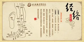 中医经络养生