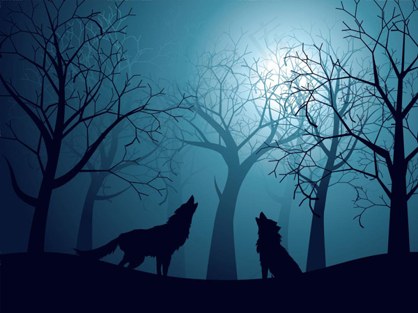 夜空下嚎叫的狼