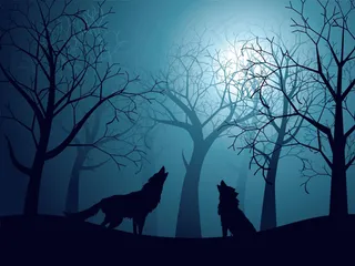 夜空下嚎叫的狼