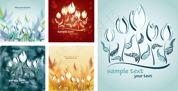 手绘郁金香矢量